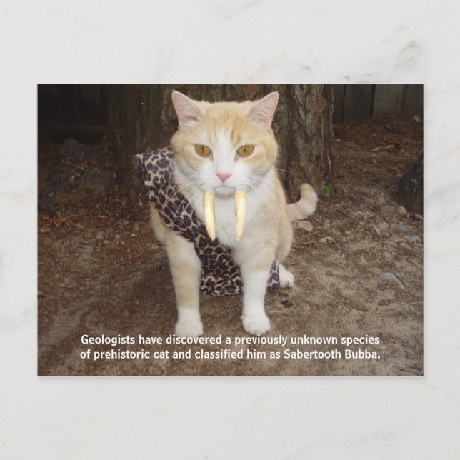 Sabertooth Bubba Vykort (Framsida)