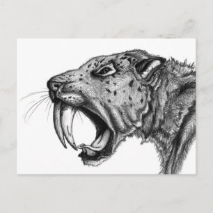 sabertoothPENCIL Vykort