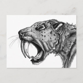 sabertoothPENCIL Vykort
