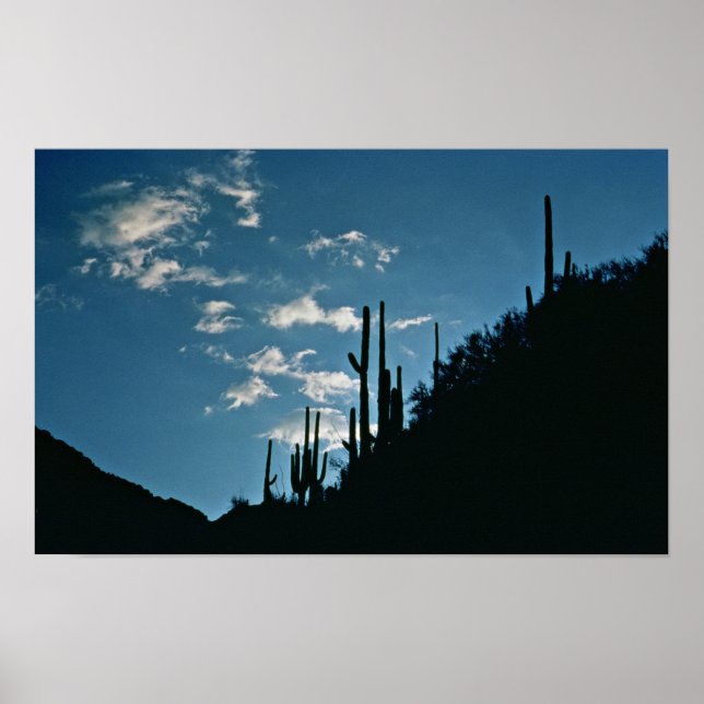 Sabino Canyon, Arizona Poster (Framsidan)