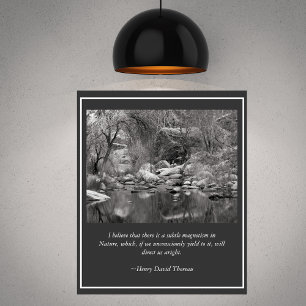 Sabino Canyon Bäck Winter Scene Poster