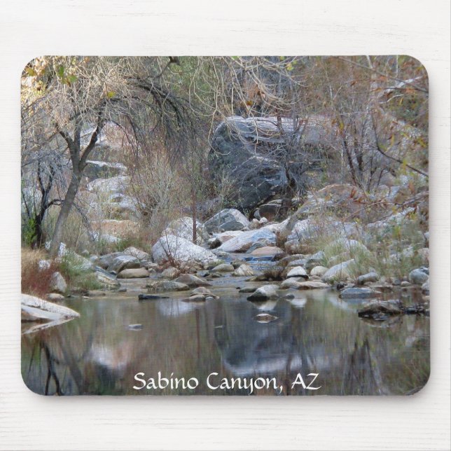 Sabino Canyon Creek - Musmatta (Framsidan)