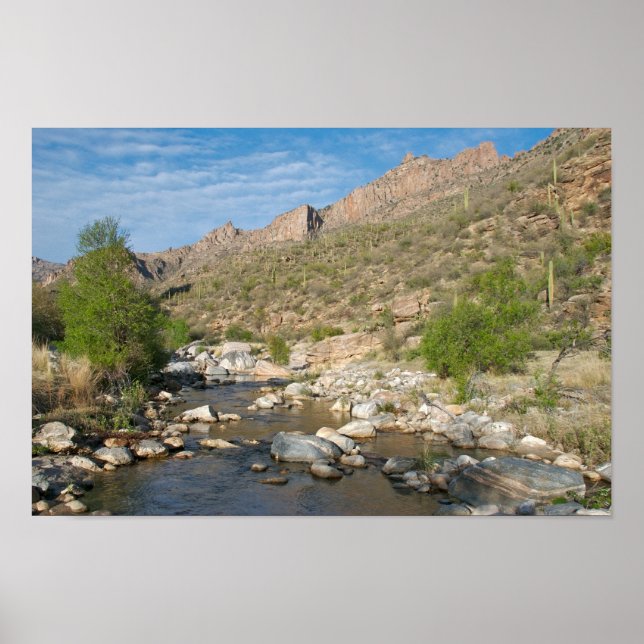 Sabino Canyon Evening Poster (Framsidan)
