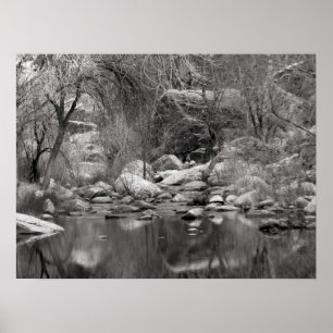 Sabino Creek på vintern Fotografisk Poster
