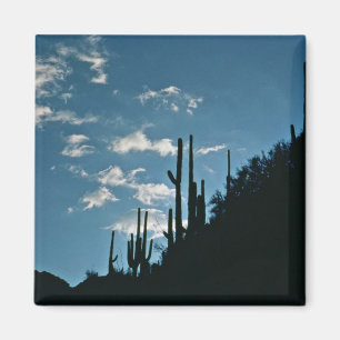 Sabino kanjon, Arizona Magnet