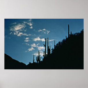 Sabino kanjon, Arizona Poster