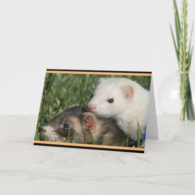 Sable and White Friends Ferrets Helgkort (Framsida)