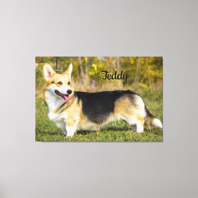 Sable Cardigan Welsh Corgi Hund Canvastryck (Framsida)