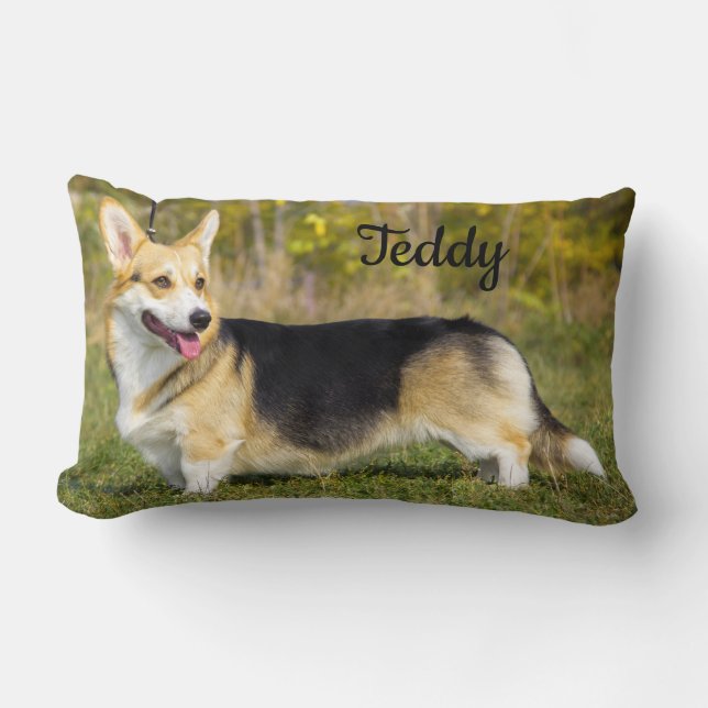 Sable Cardigan Welsh Corgi Hund Lumbarkudde (Framsida)