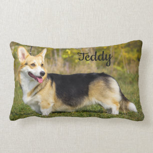 Sable Cardigan Welsh Corgi Hund Lumbarkudde