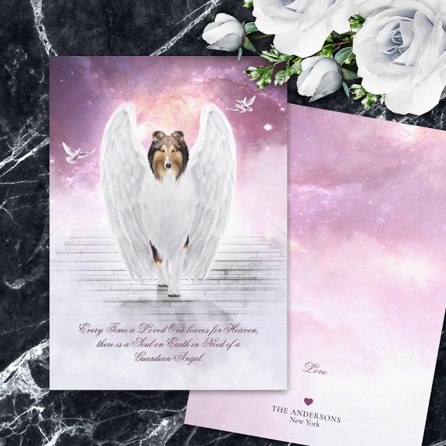Sable Collie Angel Heaven - sjukförsäkringskort fö (Skapare uppladdad)