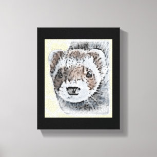 Sable Ferret Bild