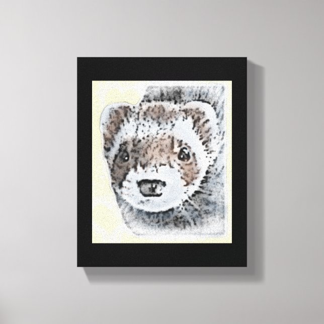 Sable Ferret Bild (Framsida)