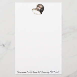 Sable Ferret Bild Brevpapper