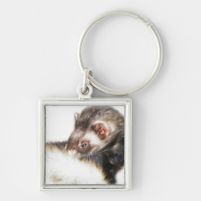 Sable Ferret Bild Fyrkantig Silverfärgad Nyckelring (Framsidan)