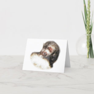 Sable Ferret Bild Helgkort
