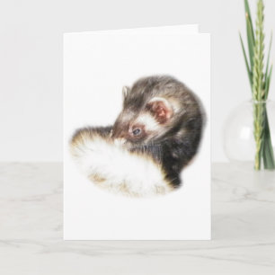 Sable Ferret Bild Helgkort