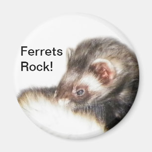 Sable Ferret Bild Magnet