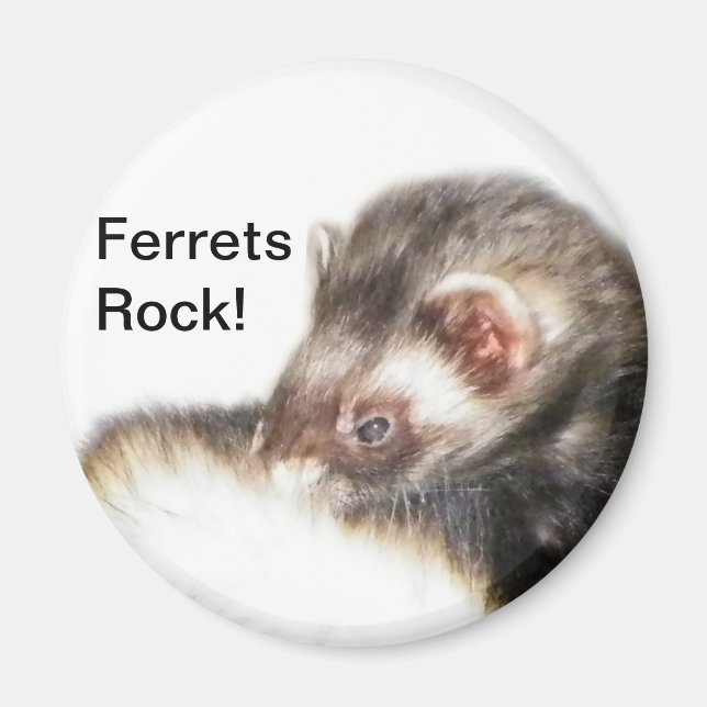 Sable Ferret Bild Magnet (Framsidan)