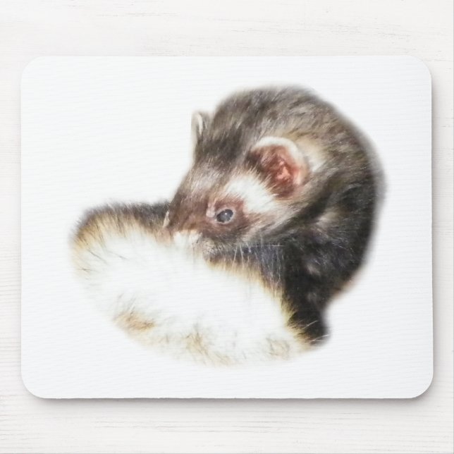 Sable Ferret Bild Musmatta (Framsidan)