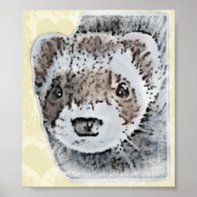 Sable Ferret Bild Poster (Framsidan)