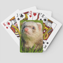 Sable Ferret i Grass Casinokort
