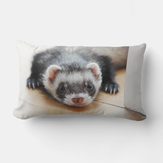 Sable Ferret Lumbarkudde (Framsida)