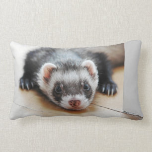 Sable Ferret Lumbarkudde