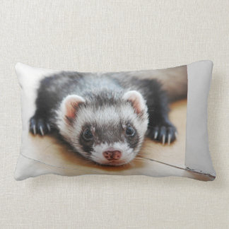 Sable Ferret Lumbarkudde