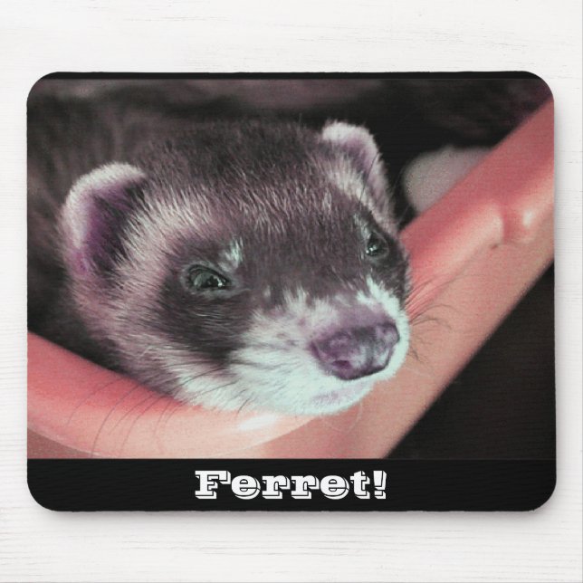 Sable Ferret Mousepad Musmatta (Framsidan)