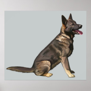 Sable German Shepherd Hund Poster