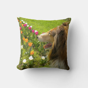Sable Rough Collie and Tulips Kudde