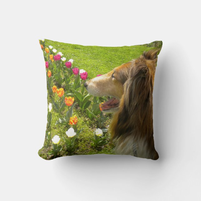 Sable Rough Collie and Tulips Kudde (Framsida)