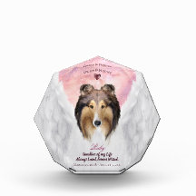 Sable Rough Collie Angel Porträtt - Pet Memorial