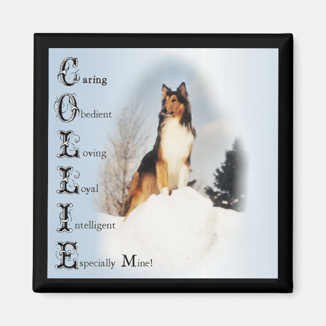 Sable Rough Collie Gifts Magnet (Framsidan)