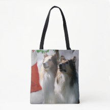 Sable Rough Collie-jul