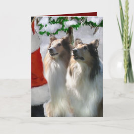 Sable Rough Collie-julklappar Helgkort