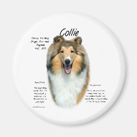 Sable Rough Collie Möte rasen - Magnet
