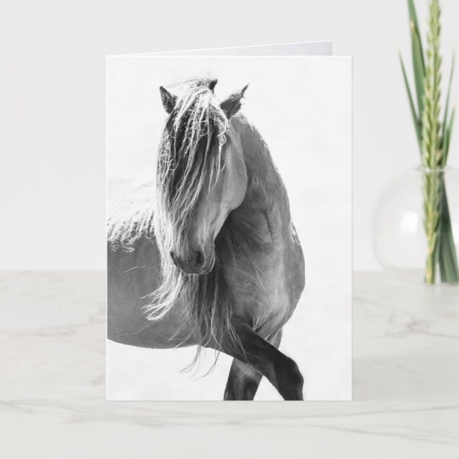 Sable Stallions Pride - Vild Horse Greeting Cards Kort (Framsida)