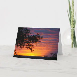 Sable Sunset Kort