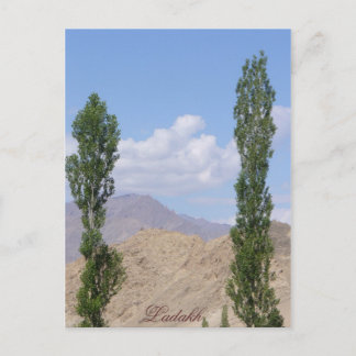 Saboo Ayu. Ladakh Indien Vykort