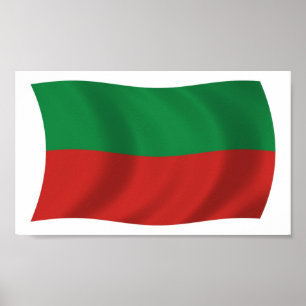 Sac & Fox Nation (Iowa) Flagga Affisch Print