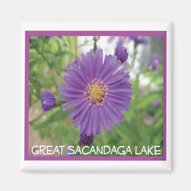 Sacandaga Lila Burst Magnet (Framsidan)