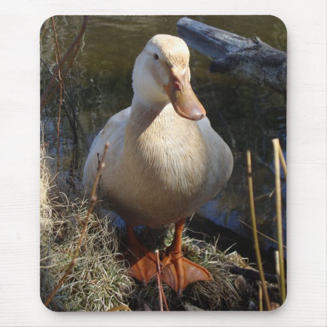 Sachsen anka Mousepad Musmatta (Framsidan)