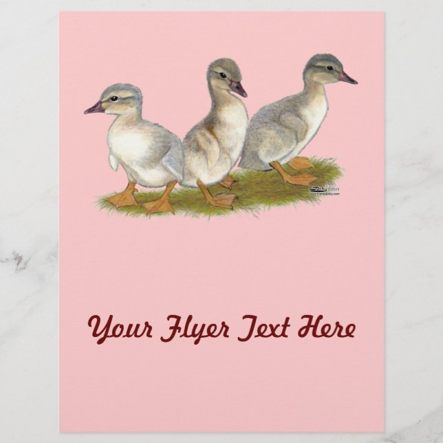 Sachsen Ducklings Reklamblad (Framsidan)