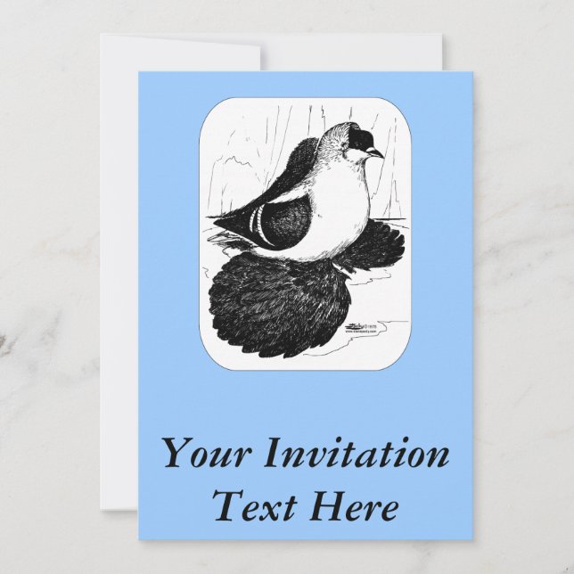 Sachsen Sväljer Pigeon 1978 Inbjudningar (Framsida)