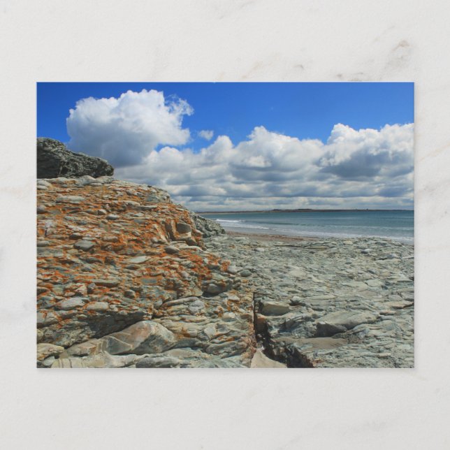 Sachuest Beach Newport Middletown Vykort (Framsida)