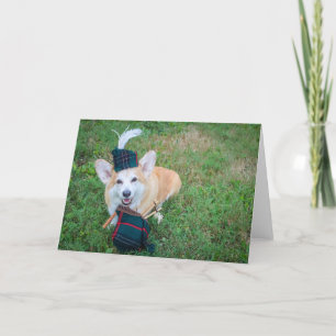 Säckpipes Corgi tom hälsokort Kort