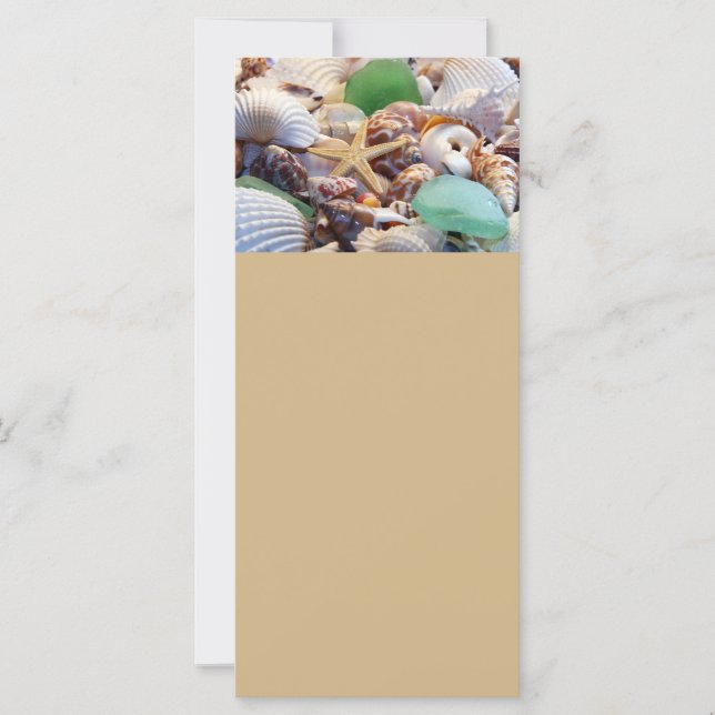 Säckskal, rackplakat av stärkelse- och sjöglas (Framsida)