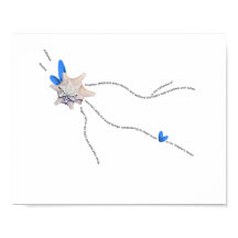 Säckskal vid kust vid viskkonjpiano dikt